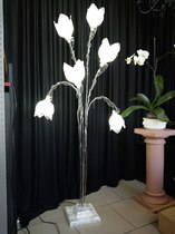 Tulipes tombantes.Disponible dans plusieurs coloris