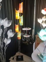 Disponible dans plusieurs coloris