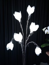 Disponible dans plusieurs coloris