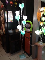 Disponible dans plusieurs coloris