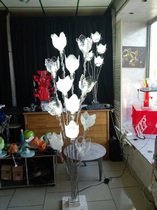 Disponible dans plusieurs coloris